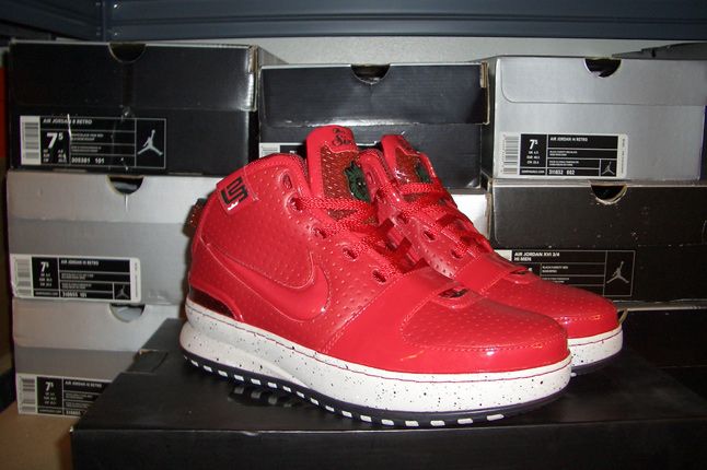 Rebecca Dahms Wmns Basketball Collection Nike Air Zoom Le Bron 6 Big Apple 1