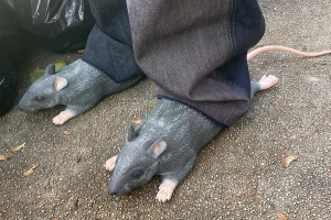 Forget the Big Red Boots, Imran Potato’s Rat Slides Are This Year’s ...