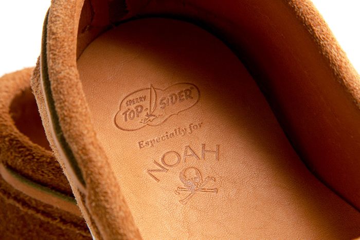 noah x sperry