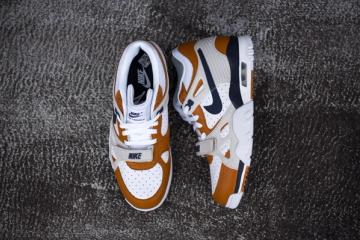 medicine ball nike air trainer iii