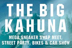 palace pro primeknit