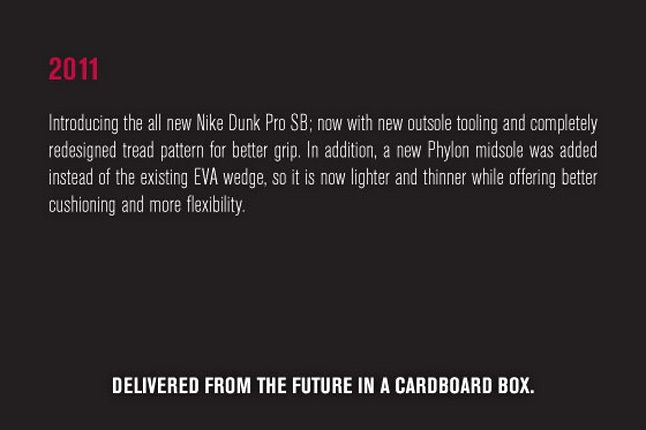 Nike Sb Dunk Pro Book 46 1