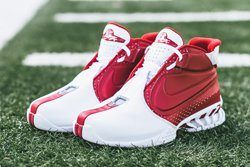 Nike Zoom Vick Ii (Falcons) - Sneaker 