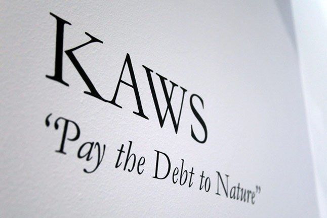 Kaws Pay The Debt To Nature Exhibition Recap 1 1