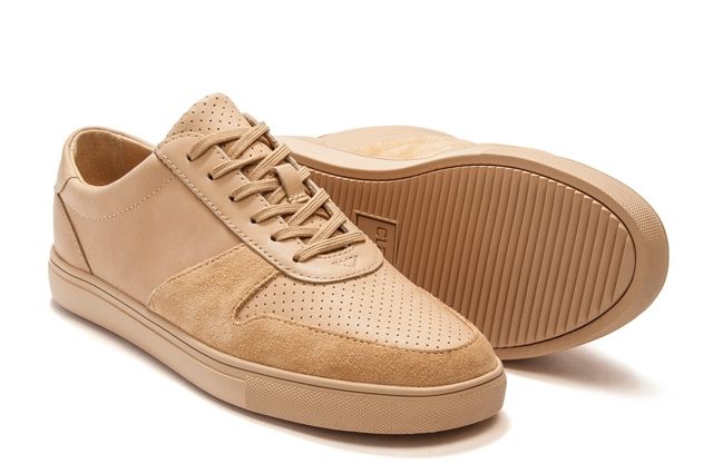 Gregory clearance sp clae