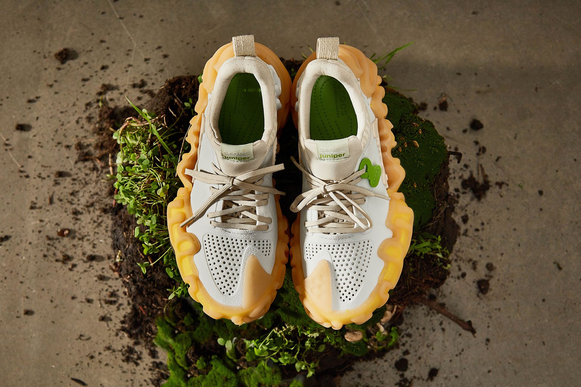 c0b08662d4ed8ef79d63f0ac564a369db5f92884