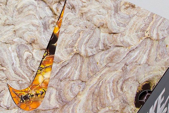 sb dunk black hornet