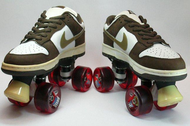 Nike Dunk Sample Roller Dunk 2 1