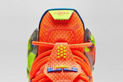 Nike Lebron 12 Six Meridians Bump 8