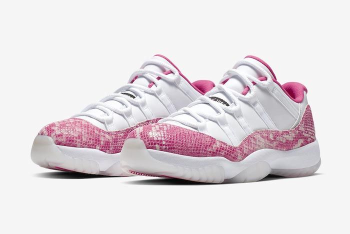 This Time the Air Jordan 11 Goes for 