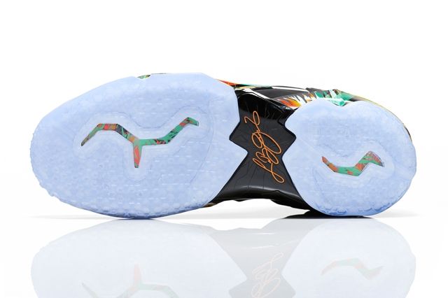 Lebron 11 Everglades 3