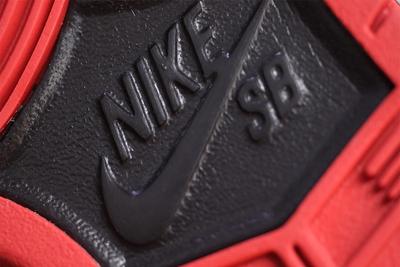 Nike Dunk Low Sb Black Pigeon13