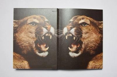 Puma Running Book Inside 1