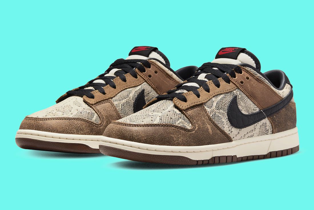 The Nike Dunk Low CO.JP Drops at Select Retailers - Industry