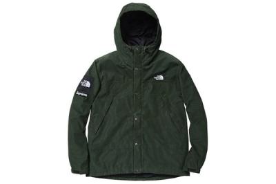 Supreme North Face Green Jacket 1