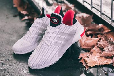 Adidas Climacool Pack 3