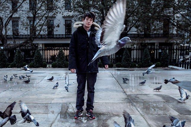 Staple Size Pigeon 1