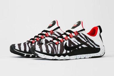 Nike Free Trainer 5 0 Nrg Perspective2