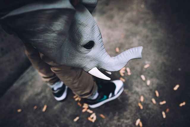 atmos elephant air max 97