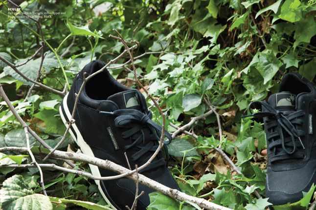 The Hundreds Footwear Spring 2012 04 1