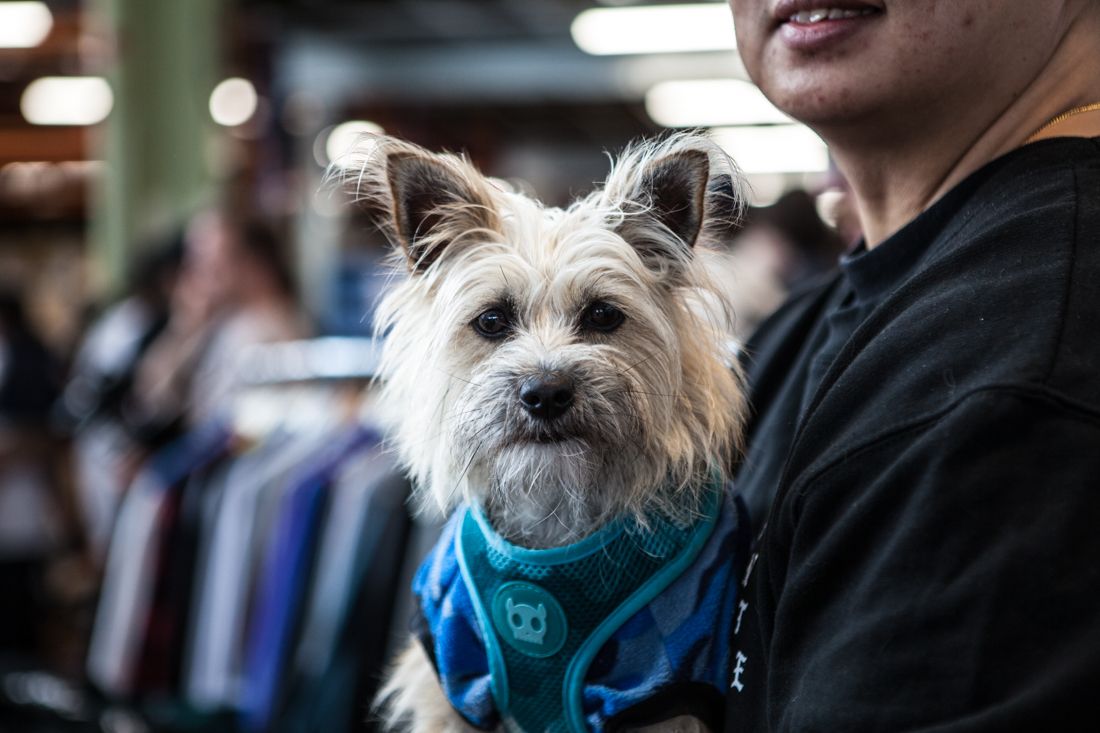 Swapmeet Recap 1190