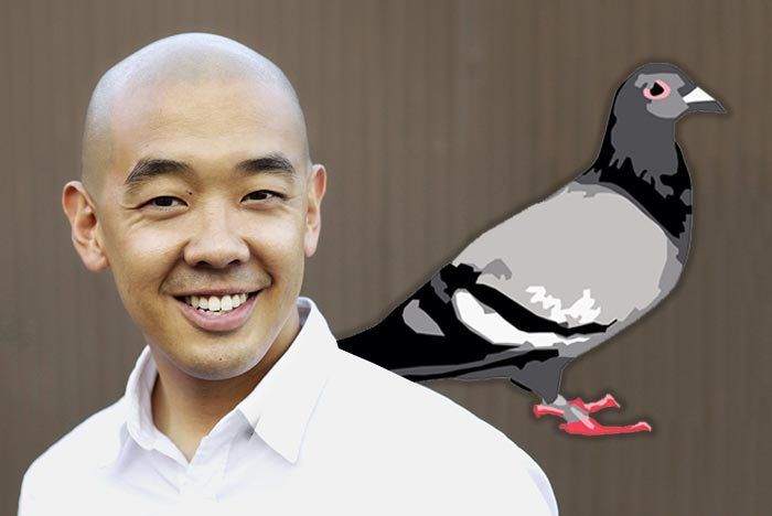 jeff staple pigeon