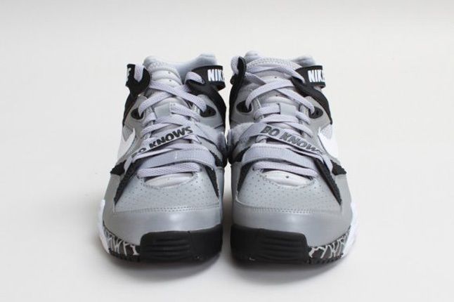 Nike Air Trainer Max 91 Qs Nfl Wolf Greywhite Front Profile 1