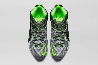 Nike Lebron 12 Dunk Force 9