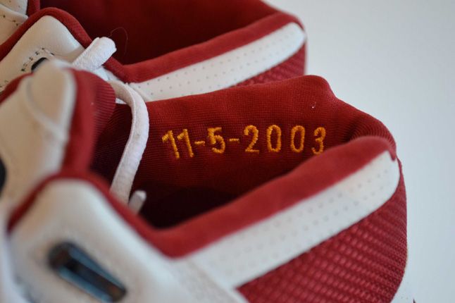 Sneaker Freaker Lebron Collector Garv 9 1