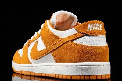 Nike Sb Dunk Circuit Orange 2