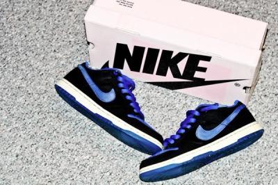 Nike Dunk Sb Low Blue 1