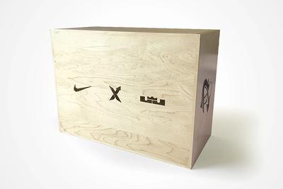 Nike Lebron Zoom Generation 5
