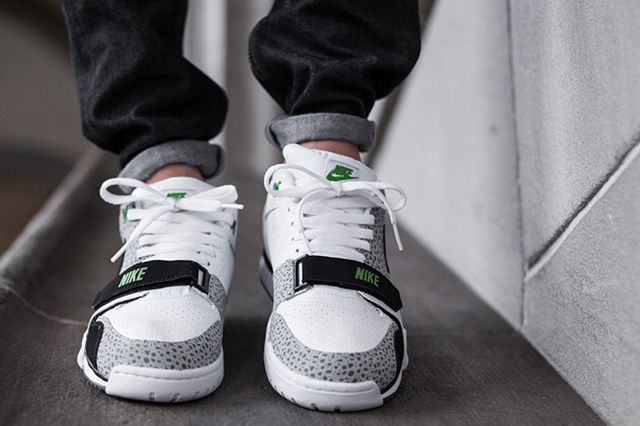 air trainer 1 safari