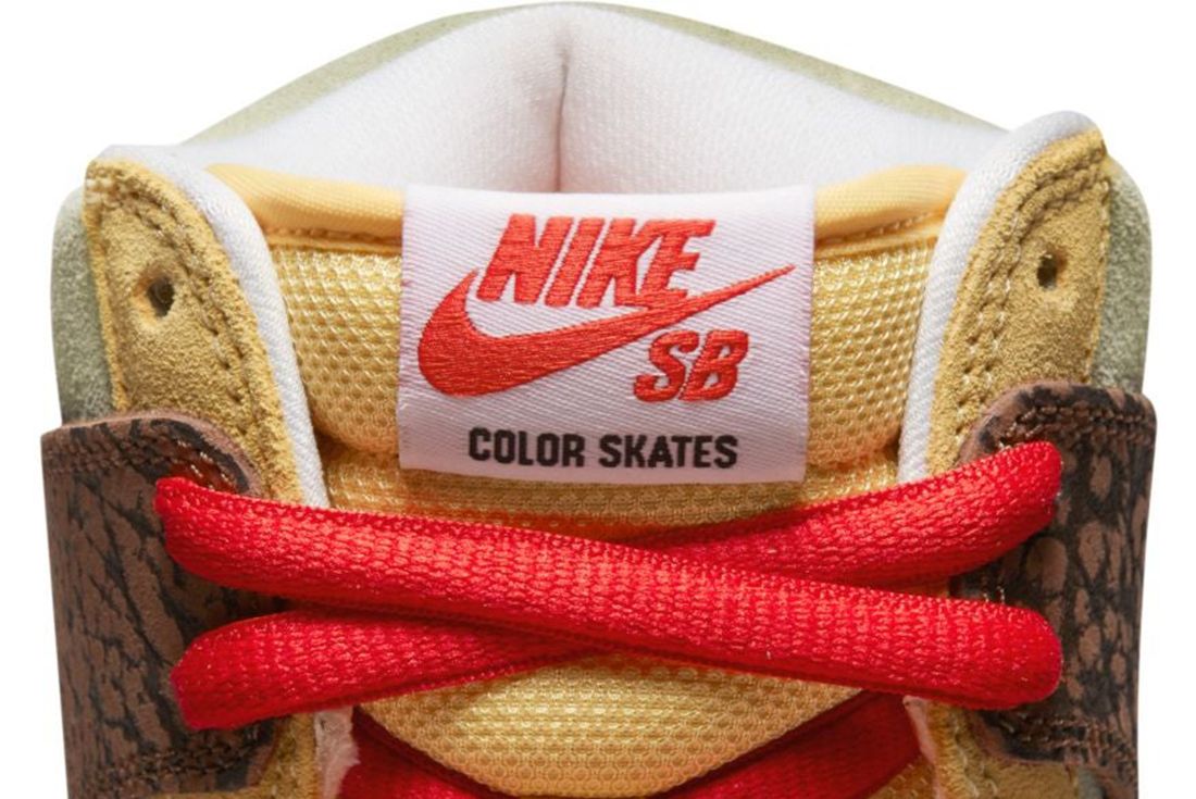 Color Skates x Nike SB Dunk High Kebab & Destroy