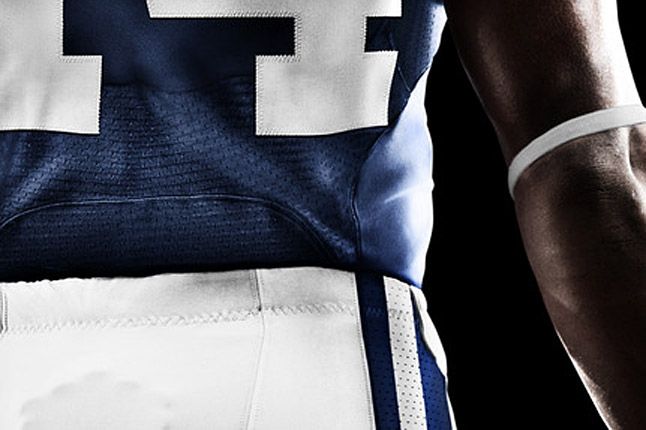 Indianapolis Colts Detail 1