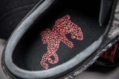 Nike Sb Leopard Pack 3