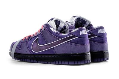 Concepts Purple Lobster Nike Sb Dunk Release Date 6