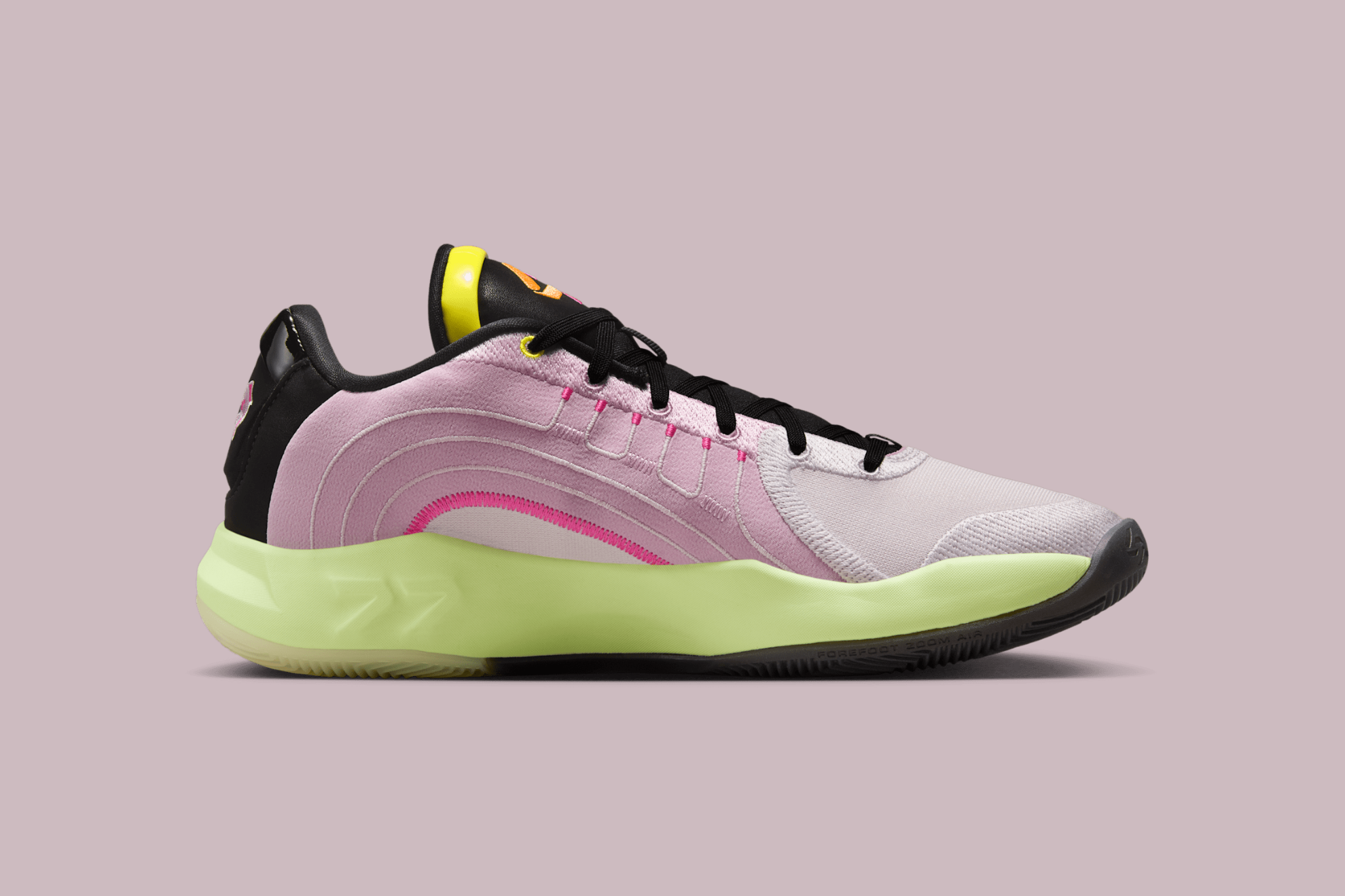 trainer releases