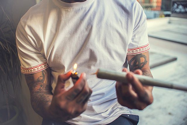 Akomplice Marijuana For The Future Collection 1