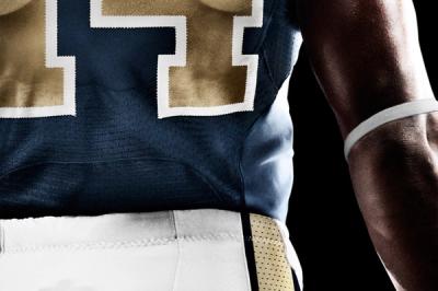 St Louis Rams Detail 1