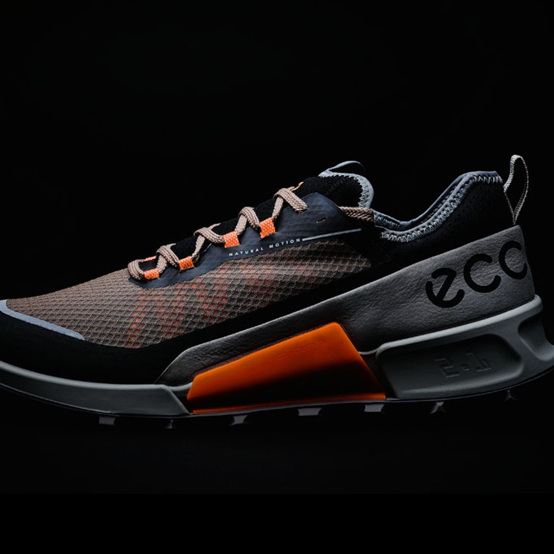 Exploring the Exceptional ECCO BIOM 2.1 X COUNTRY - Sneaker