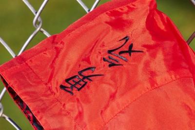 Nike Air Foamposite 1 Doernbecher Jacket Detail