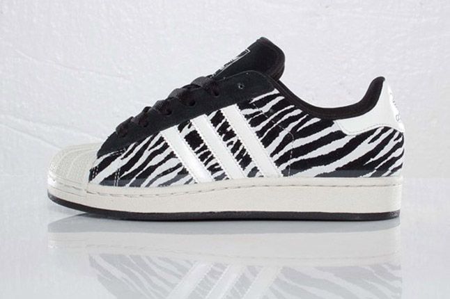 superstar zebra