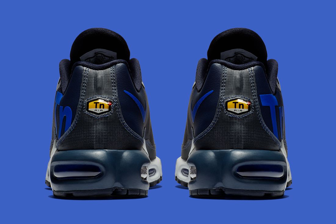 nike air max plus world cup