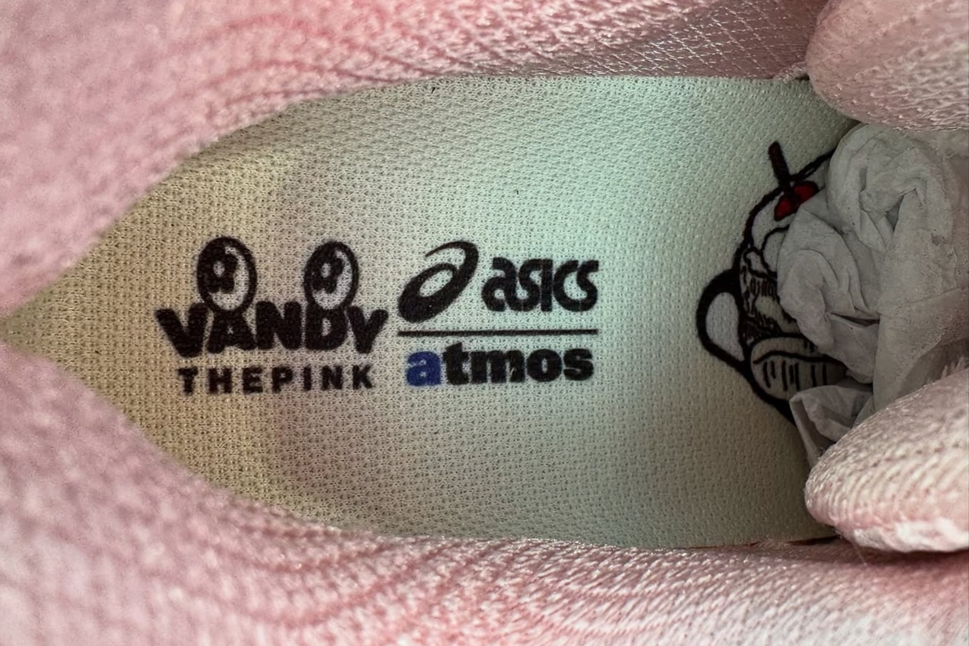Vandy The Pink