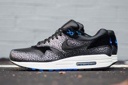 am1 safari