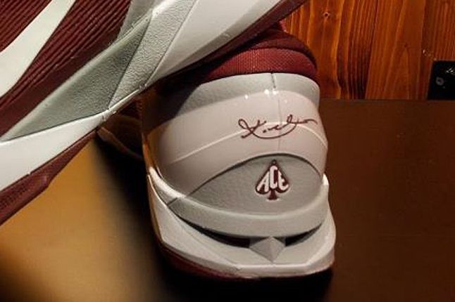 kobe 7 lower merion