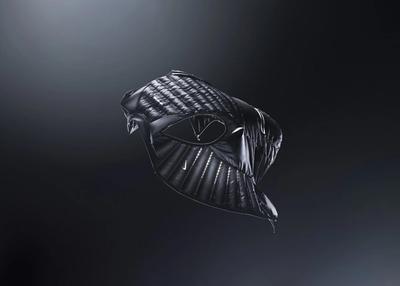 Nike Aeroloft 800 Vest Black