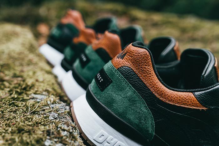 Kangaroos Coil R1 Mighty Forest 10