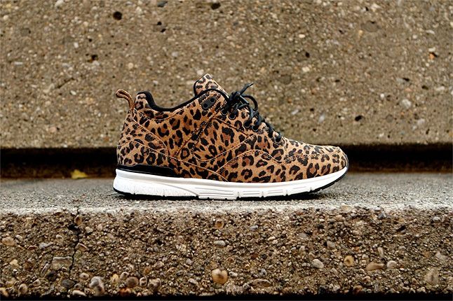 Gourmet Dignan Leopard 1 1